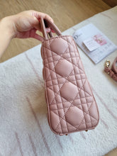 Load image into Gallery viewer, ABC Dior Blush/Fard Small Gold Hardware