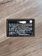 Load image into Gallery viewer, Chanel Mini Rectangular Caviar White Silver Hw