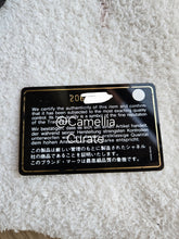 Load image into Gallery viewer, Classic Mini Rectangle Caviar Gold Hw