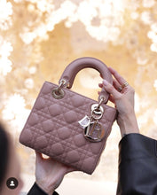 Load image into Gallery viewer, ABC Dior Blush/Fard Small Gold Hardware