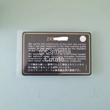 Load image into Gallery viewer, Chanel Filigree Small Flap Beige/Black Caviar