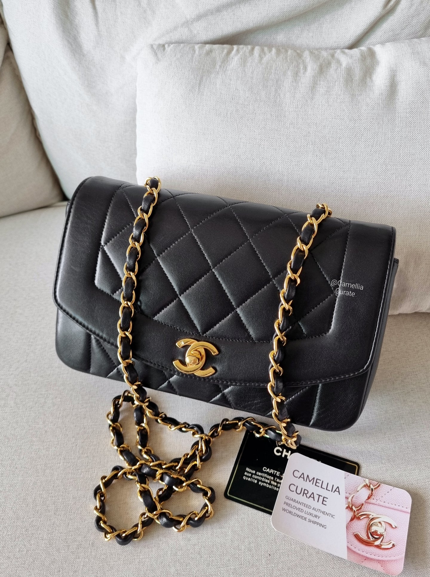 Chanel Diana Small Black 24k Gold
