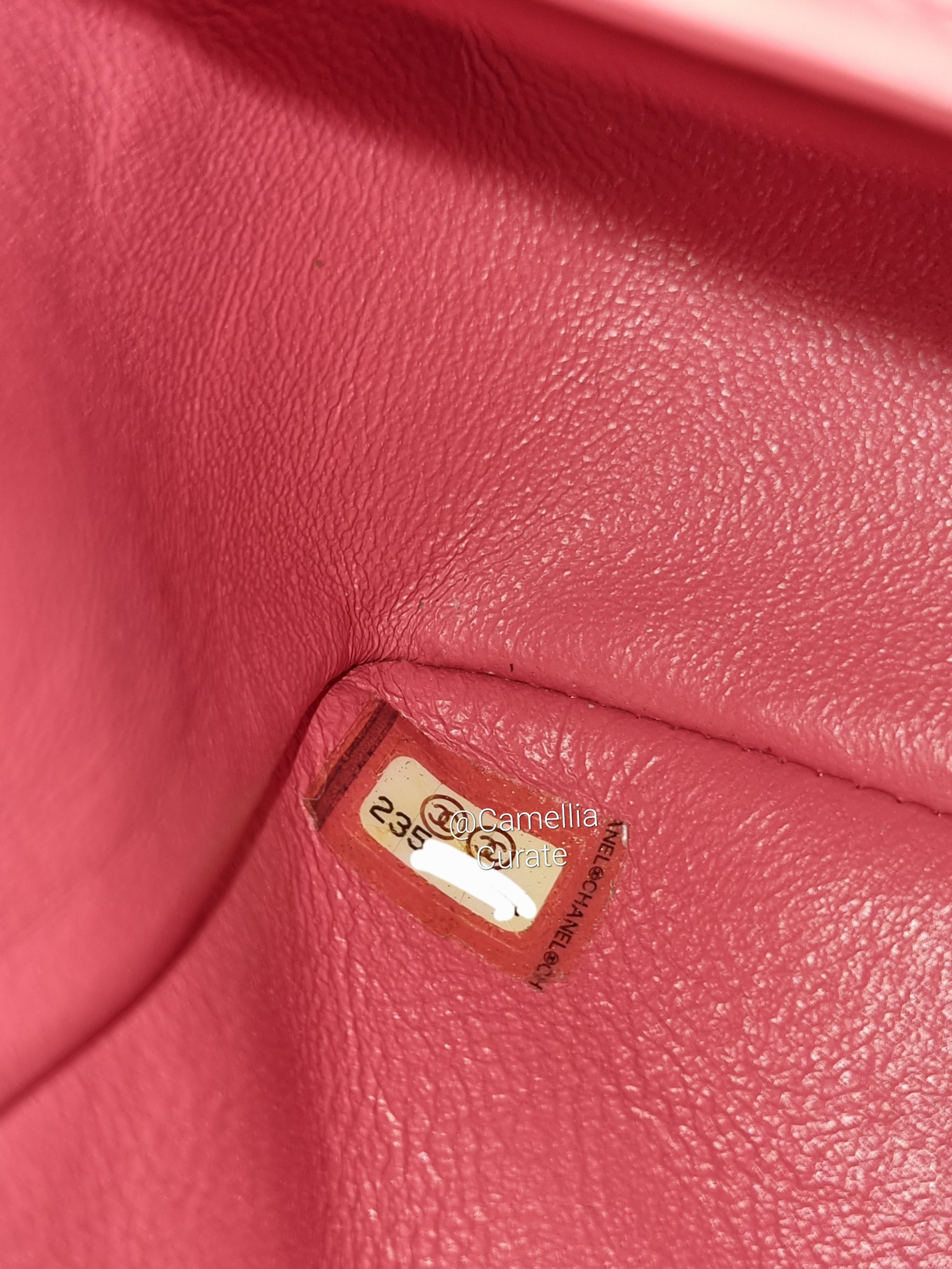 Chanel 17c Pink Watermelon Caviar Mini Rectangle Gold Hardware