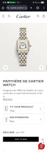 Load image into Gallery viewer, Cartier Small Panthere Watch Steel/Gold
