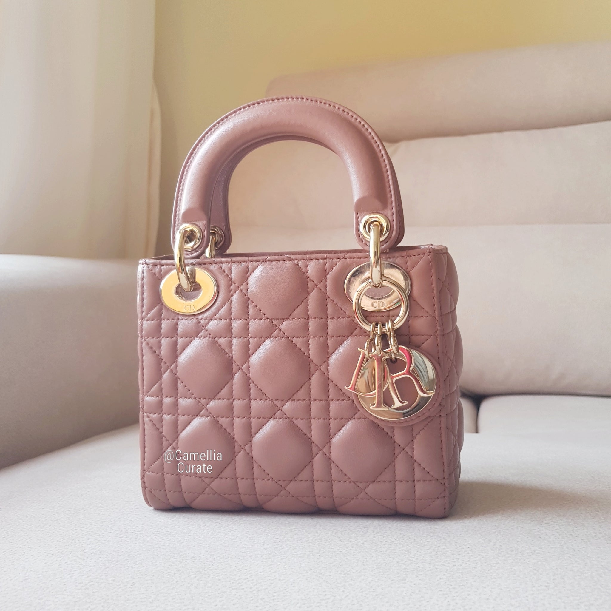 Lady Dior Mini in Petal Brick – CamelliaCurate