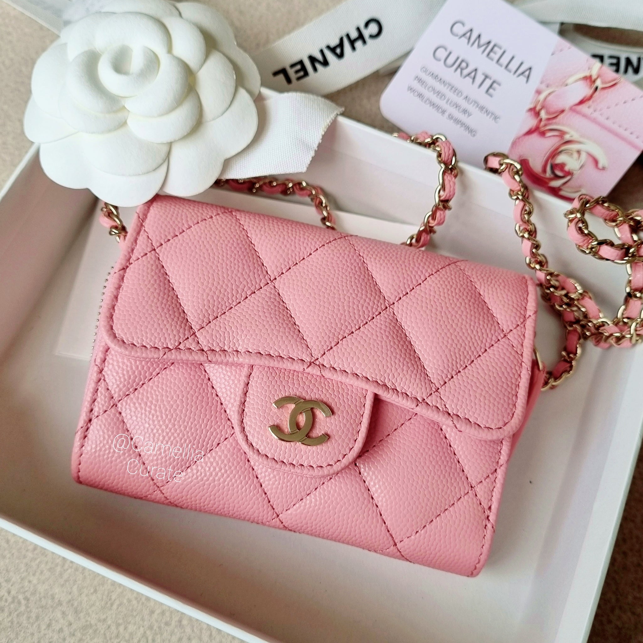 Chanel Pale Pink Caviar Camellia Card Holder